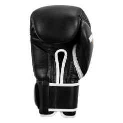 Fighting Fury Professional Training Gloves -boxing supplies store fsftge bk 04