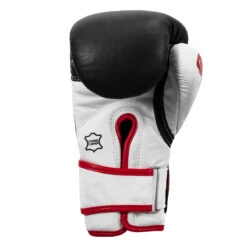 TITLE Boxing Gel World Bag Gloves -boxing supplies store gtwbg bk wh 0004