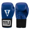 TITLE Boxing Masters USA Boxing Competition Gloves - Elastic 1 TITLE Boxing Masters USA Boxing Competition Gloves - Elastic -boxing supplies store macges bl 01
