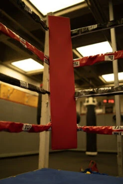 TITLE Boxing Blank Pro Corner Cushion V3.0 - Single 19 TITLE Boxing Blank Pro Corner Cushion V3.0 - Single -boxing supplies store osccb blank red 3