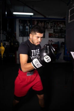 Pro Mex Professional Bag Gloves V3.0 -boxing supplies store pmhbg3 bk 2