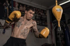 Pro Mex Professional Double End Bag V2.0 -boxing supplies store pmrdeb2 ye 1