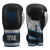 TITLE Platinum Perilous Boxing Training Gloves -boxing supplies store ppstge 01