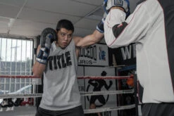 TITLE Platinum Perilous Boxing Training Gloves -boxing supplies store ppstge 1