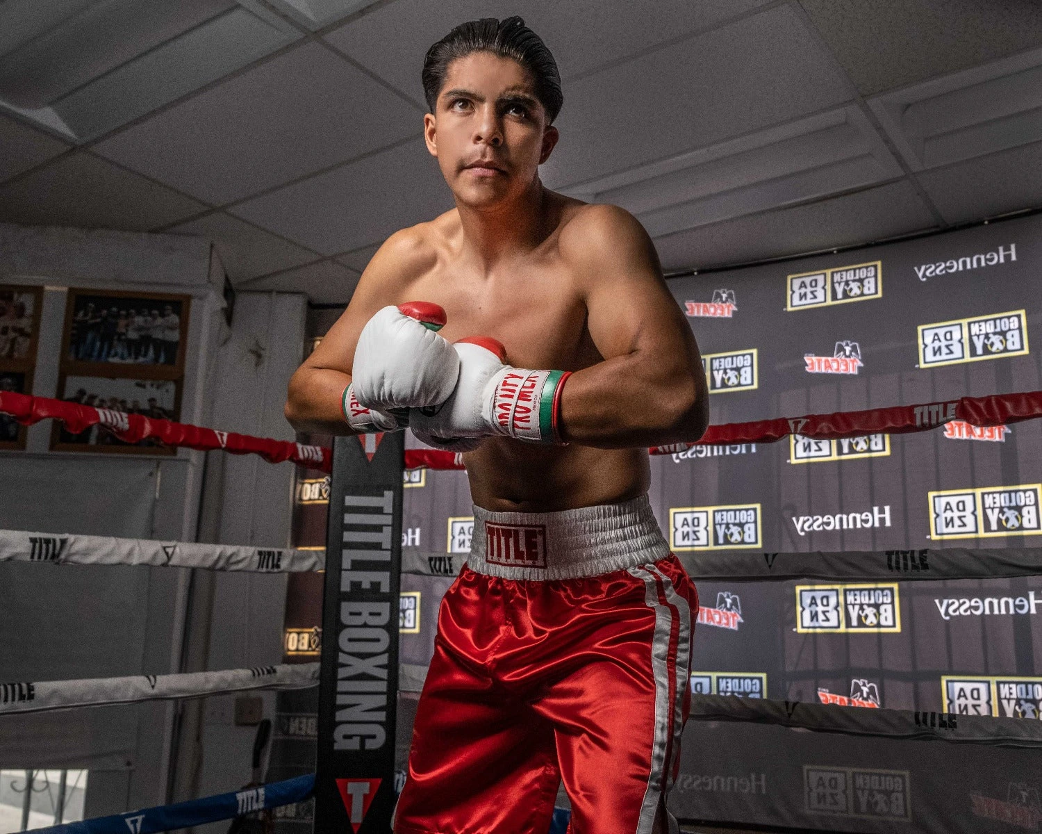 TITLE Boxing Pro Corner Cushions V3P – Set Of 4 6 TITLE Boxing Pro Corner Cushions V3P – Set Of 4 - Image 4