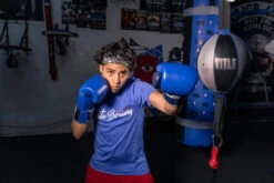 TITLE Boxing Royalty Leather Bag Gloves -boxing supplies store rybg