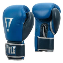 TITLE Boxing Royalty Leather Bag Gloves -boxing supplies store rybg ry nv 02