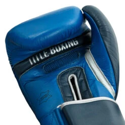 TITLE Boxing Royalty Leather Bag Gloves -boxing supplies store rybg ry nv 05