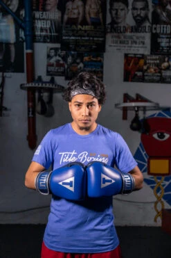 TITLE Boxing Royalty Leather Bag Gloves -boxing supplies store rybg 3