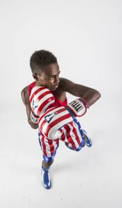 TITLE Boxing Infused Foam Combat USA Training Gloves -boxing supplies store studio 2017 07 27 999 198