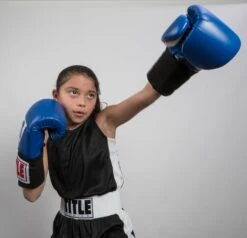 TITLE Boxing Aerovent Elite Amateur Set - Original -boxing supplies store tabs 1