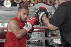 TITLE Boxing Aerovent Excel Incredi-Mitts 2.0 -boxing supplies store taepm2