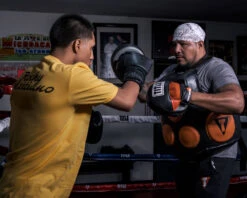 TITLE Boxing Ionic Strike Punch Mitts -boxing supplies store tismp gror