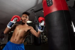 TITLE Boxing USA Leather Bag Gloves 15 TITLE Boxing USA Leather Bag Gloves -boxing supplies store usabg replace the current