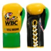 WBC By TITLE Boxing Jose Sulaiman Leather Gloves -boxing supplies store wbcjsg gd bk 01