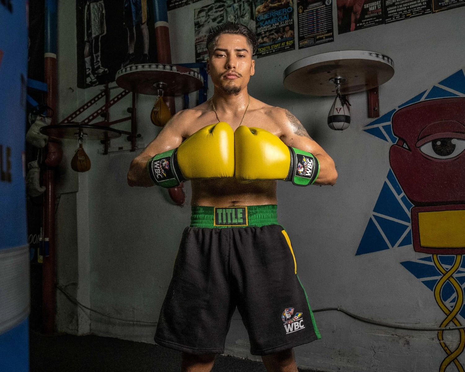 WBC By TITLE Boxing Jose Sulaiman Training Gloves 4 WBC By TITLE Boxing Jose Sulaiman Training Gloves - Image 2