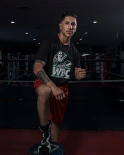 WBC By TITLE Boxing Flag Tee -boxing supplies store wbct2