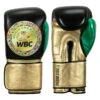 WBC By TITLE Boxing Green Belt Training Gloves 1.0 1 WBC By TITLE Boxing Green Belt Training Gloves 1.0 -boxing supplies store wgbtg bk gd gn 1 1