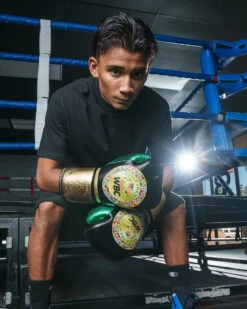 WBC By TITLE Boxing Green Belt Training Gloves 1.0 22 WBC By TITLE Boxing Green Belt Training Gloves 1.0 -boxing supplies store wgbtg bk 2 1