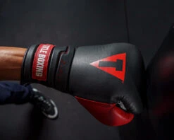 TITLE Boxing Z-FLY Bag Gloves -boxing supplies store zflybg bk rd 6 1